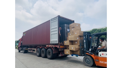 News: 3 x 40HQ Containers of Bubble Bags Shipped to Canada – Professional Palletized Packaging for Efficient Logistics News: 3 x 40HQ Containers of Bubble Bags Shipped to Canada – Professional Palletized Packaging for Efficient Logistics